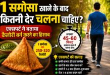 1 समोसा खाया तो कितनी देर चलना पड़ेगा? एक्सपर्ट ने बताया कैलोरी बर्न करने का आसान हिसाब