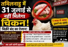 तमिलनाडु में 31 जुलाई से नहीं मिलेगा चिकन! बिक्री बंद का ऐलान, जानिए पूरा विवाद और किस पर पड़ेगा सबसे ज्यादा असर