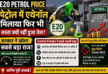 E20 Petrol Price: 20% एथेनॉल मिलाने के बाद भी सस्ता क्यों नहीं हुआ पेट्रोल? सरकार ने बताया बड़ा कारण
