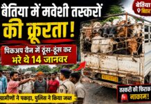 बेतिया में मवेशी तस्करों की क्रूरता: पिकअप वैन में ठूंस-ठूंस कर भरे थे 14 जानवर, ग्रामीणों ने पकड़कर पुलिस को सौंपा