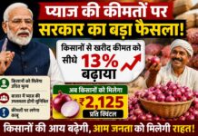 प्याज की कीमतों पर सरकार का बड़ा फैसला, किसानों से खरीद कीमत को सीधे 13% बढ़ाया