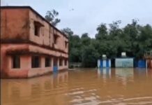 बिहार में बाढ़ का कहर: कई जिलों में सड़क-स्कूल-अस्पताल डूबे, अलग-अलग घटनाओं में 5 की मौत